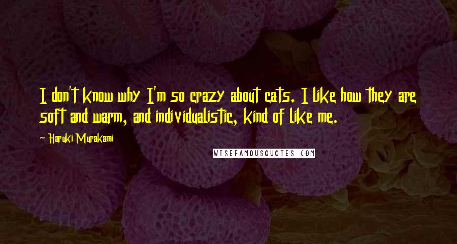 Haruki Murakami Quotes: I don't know why I'm so crazy about cats. I like how they are soft and warm, and individualistic, kind of like me.