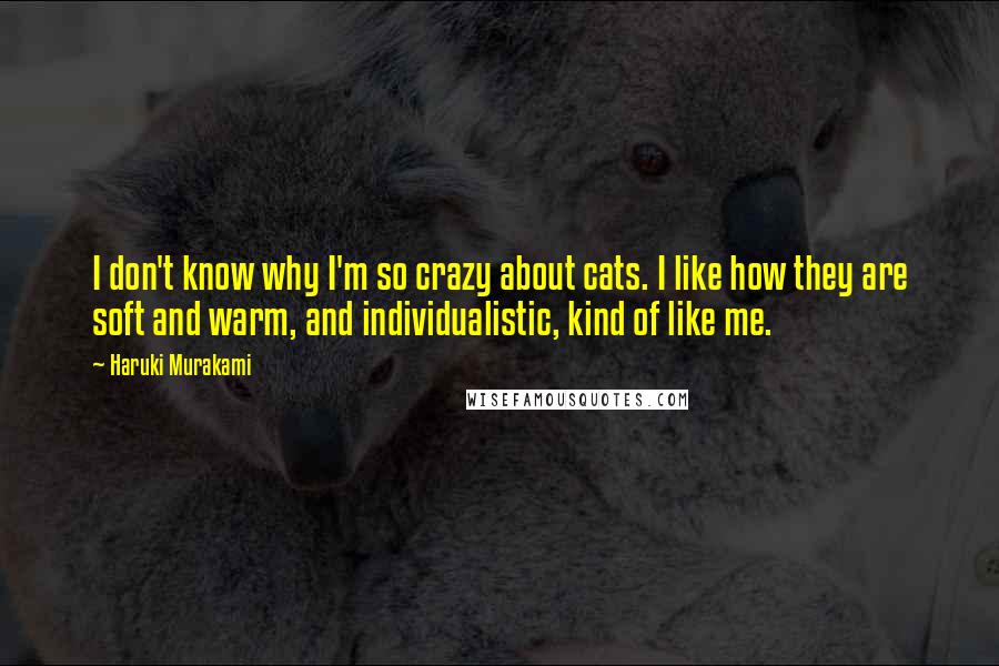 Haruki Murakami Quotes: I don't know why I'm so crazy about cats. I like how they are soft and warm, and individualistic, kind of like me.