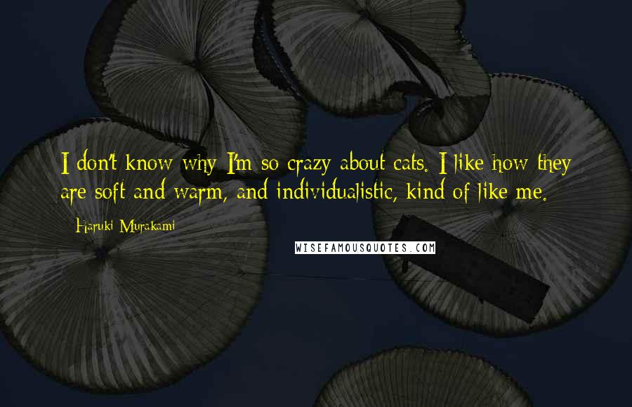 Haruki Murakami Quotes: I don't know why I'm so crazy about cats. I like how they are soft and warm, and individualistic, kind of like me.