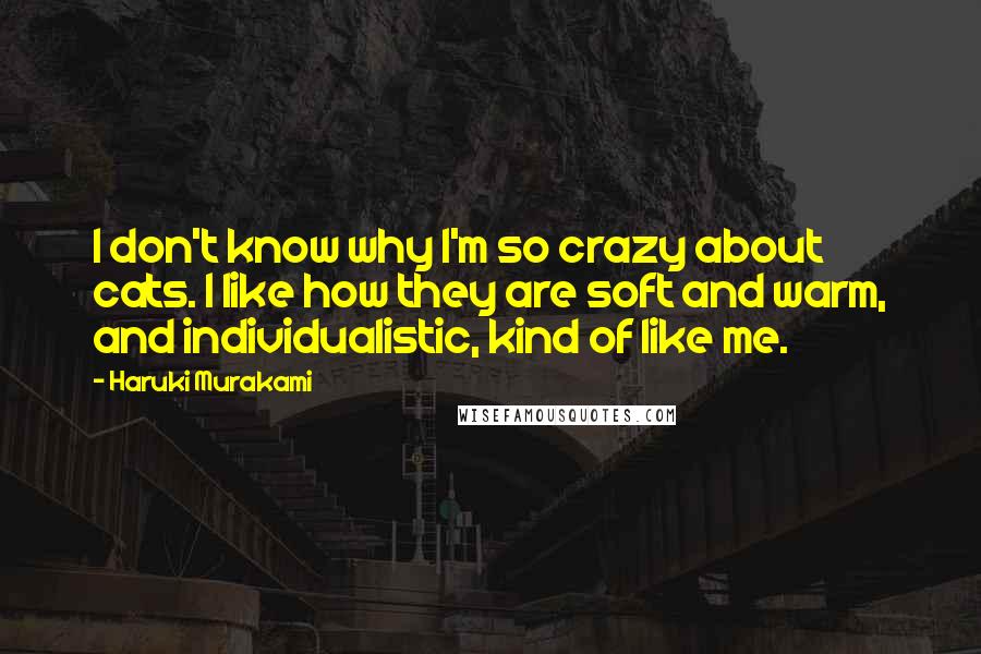 Haruki Murakami Quotes: I don't know why I'm so crazy about cats. I like how they are soft and warm, and individualistic, kind of like me.