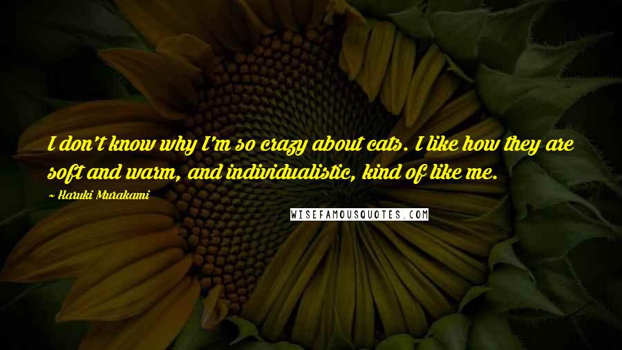 Haruki Murakami Quotes: I don't know why I'm so crazy about cats. I like how they are soft and warm, and individualistic, kind of like me.