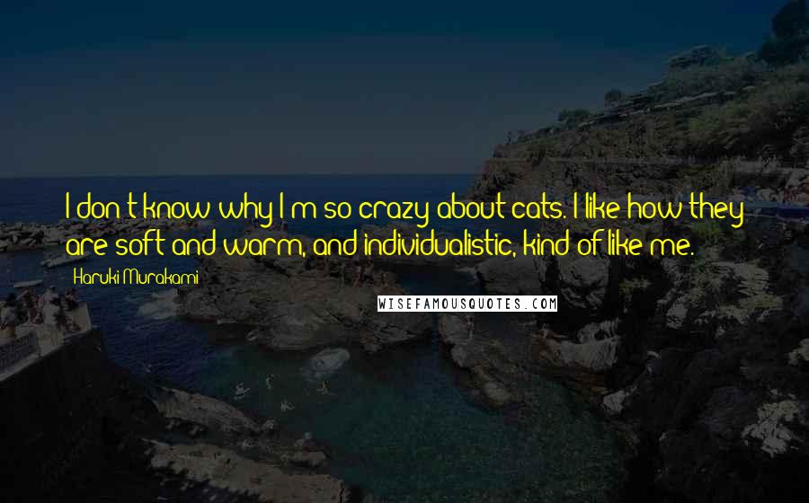 Haruki Murakami Quotes: I don't know why I'm so crazy about cats. I like how they are soft and warm, and individualistic, kind of like me.