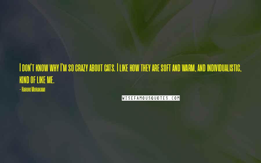 Haruki Murakami Quotes: I don't know why I'm so crazy about cats. I like how they are soft and warm, and individualistic, kind of like me.