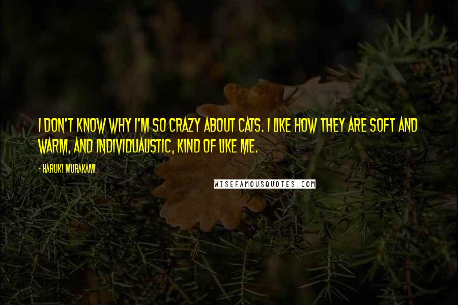 Haruki Murakami Quotes: I don't know why I'm so crazy about cats. I like how they are soft and warm, and individualistic, kind of like me.