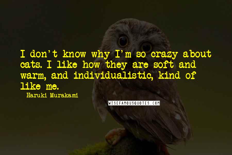 Haruki Murakami Quotes: I don't know why I'm so crazy about cats. I like how they are soft and warm, and individualistic, kind of like me.