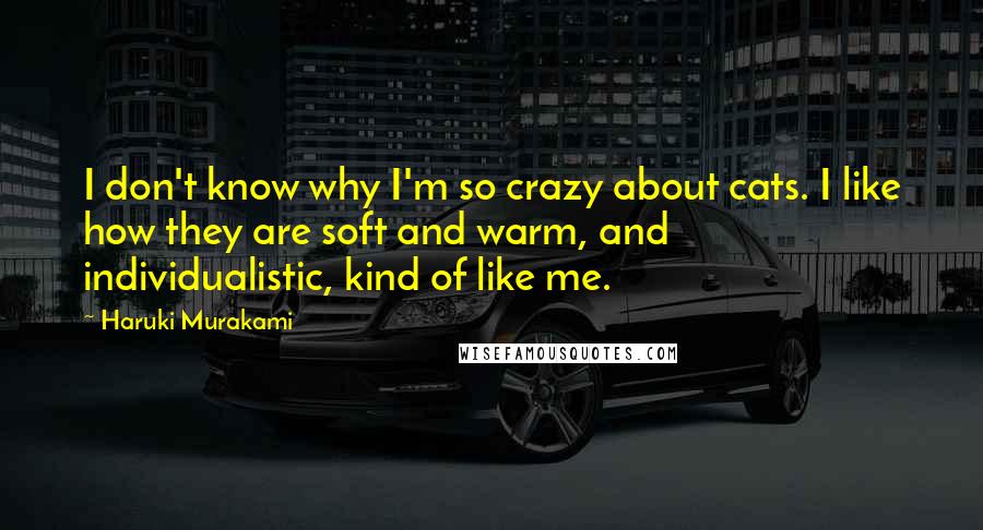 Haruki Murakami Quotes: I don't know why I'm so crazy about cats. I like how they are soft and warm, and individualistic, kind of like me.