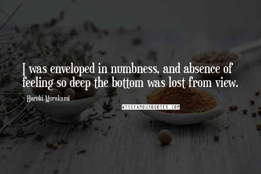 Haruki Murakami Quotes: I was enveloped in numbness, and absence of feeling so deep the bottom was lost from view.