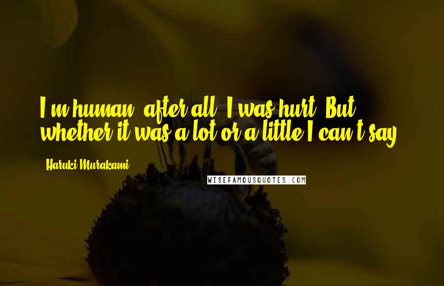 Haruki Murakami Quotes: I'm human, after all. I was hurt. But whether it was a lot or a little I can't say.