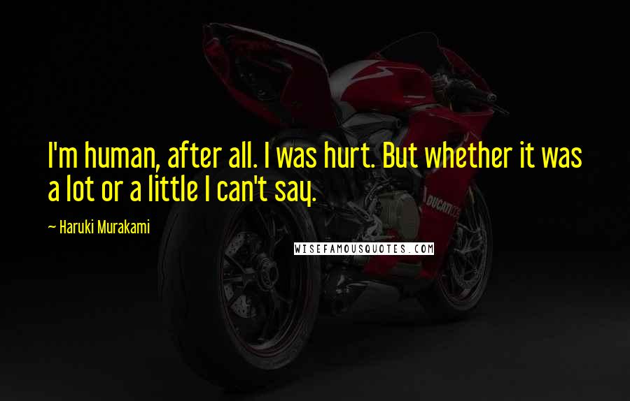 Haruki Murakami Quotes: I'm human, after all. I was hurt. But whether it was a lot or a little I can't say.