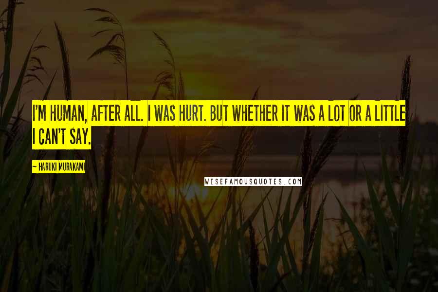 Haruki Murakami Quotes: I'm human, after all. I was hurt. But whether it was a lot or a little I can't say.