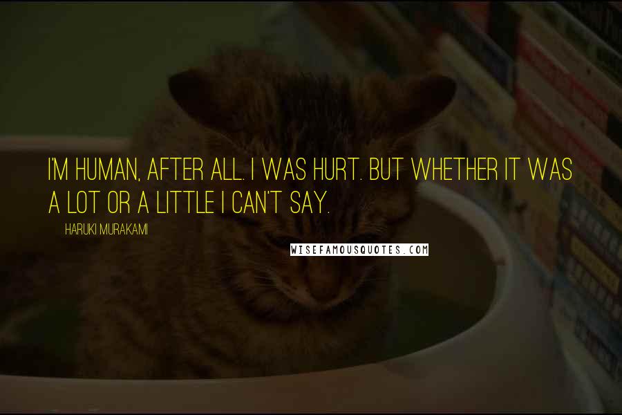 Haruki Murakami Quotes: I'm human, after all. I was hurt. But whether it was a lot or a little I can't say.