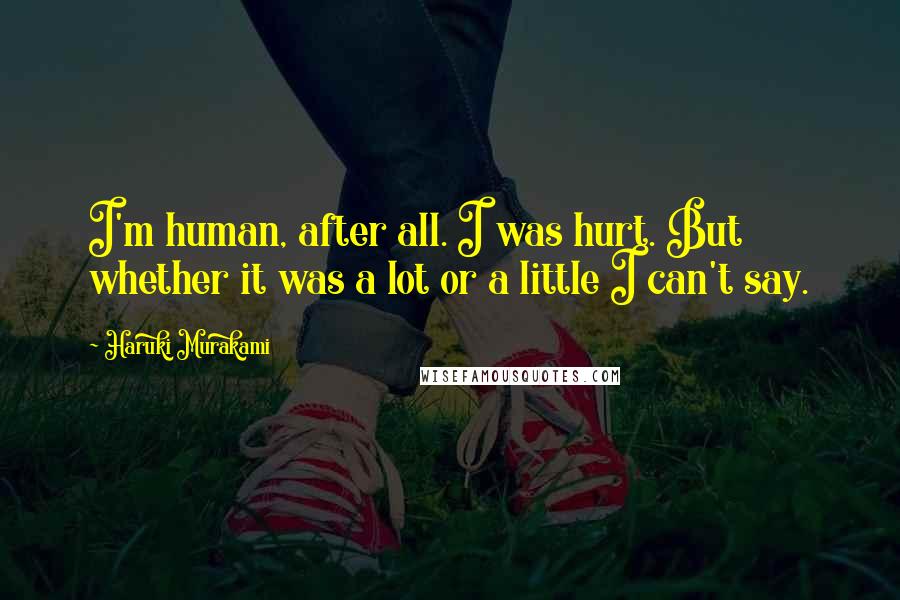 Haruki Murakami Quotes: I'm human, after all. I was hurt. But whether it was a lot or a little I can't say.