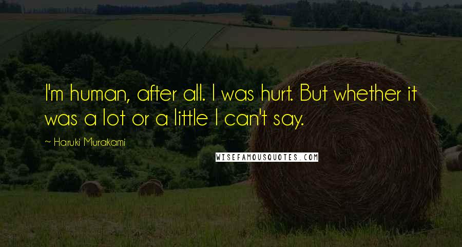 Haruki Murakami Quotes: I'm human, after all. I was hurt. But whether it was a lot or a little I can't say.