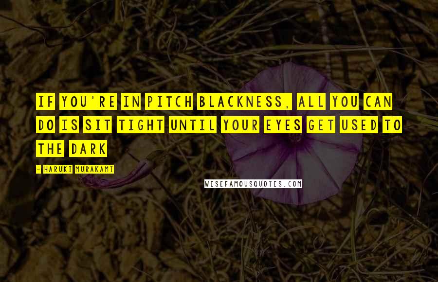 Haruki Murakami Quotes: If you're in pitch blackness, all you can do is sit tight until your eyes get used to the dark