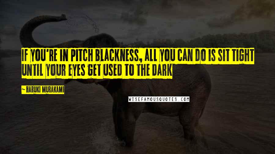 Haruki Murakami Quotes: If you're in pitch blackness, all you can do is sit tight until your eyes get used to the dark
