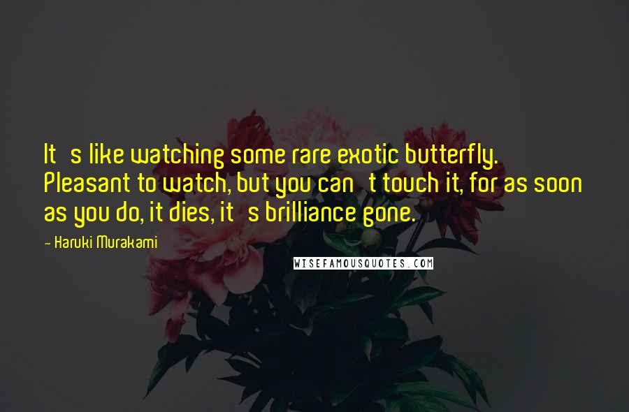 Haruki Murakami Quotes: It's like watching some rare exotic butterfly. Pleasant to watch, but you can't touch it, for as soon as you do, it dies, it's brilliance gone.