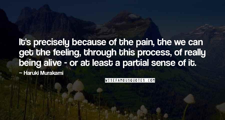 Haruki Murakami Quotes: It's precisely because of the pain, the we can get the feeling, through this process, of really being alive - or at least a partial sense of it.