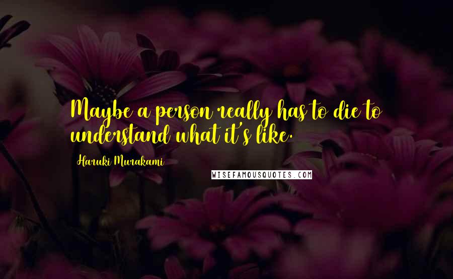 Haruki Murakami Quotes: Maybe a person really has to die to understand what it's like.