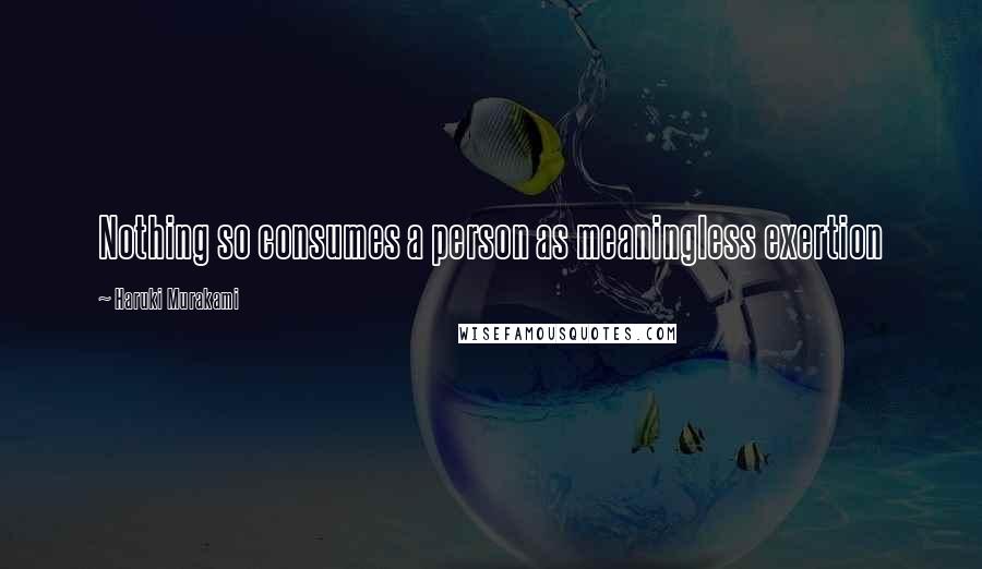 Haruki Murakami Quotes: Nothing so consumes a person as meaningless exertion