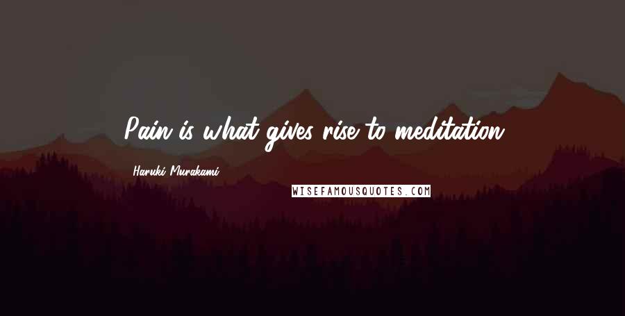 Haruki Murakami Quotes: Pain is what gives rise to meditation