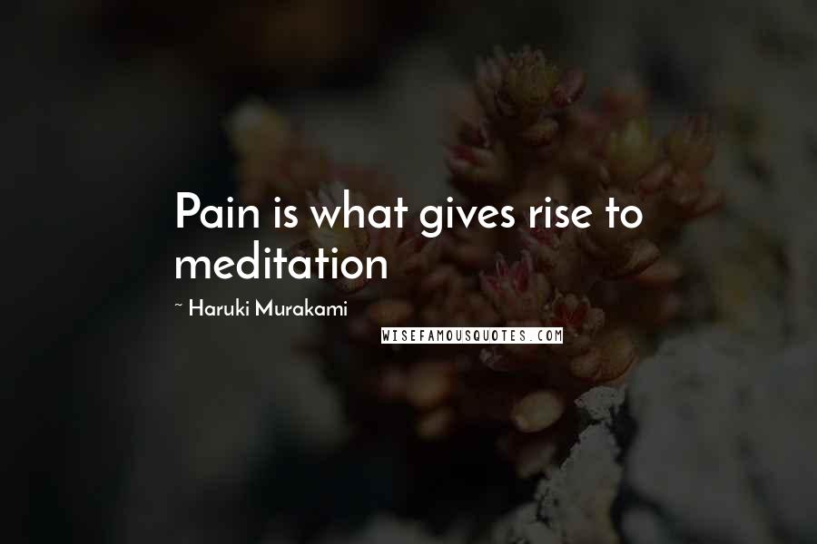 Haruki Murakami Quotes: Pain is what gives rise to meditation