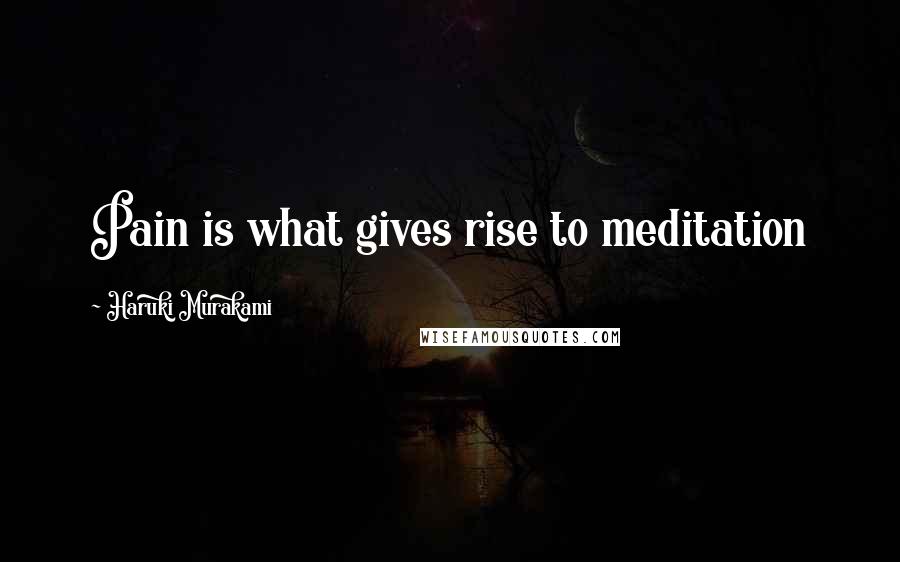 Haruki Murakami Quotes: Pain is what gives rise to meditation