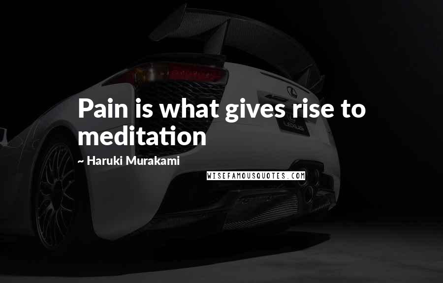 Haruki Murakami Quotes: Pain is what gives rise to meditation