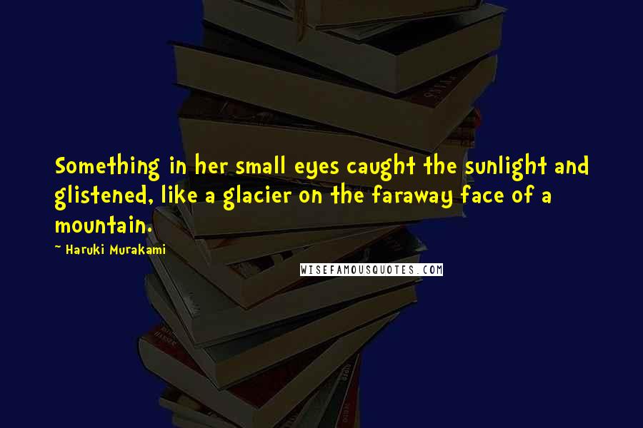 Haruki Murakami Quotes: Something in her small eyes caught the sunlight and glistened, like a glacier on the faraway face of a mountain.