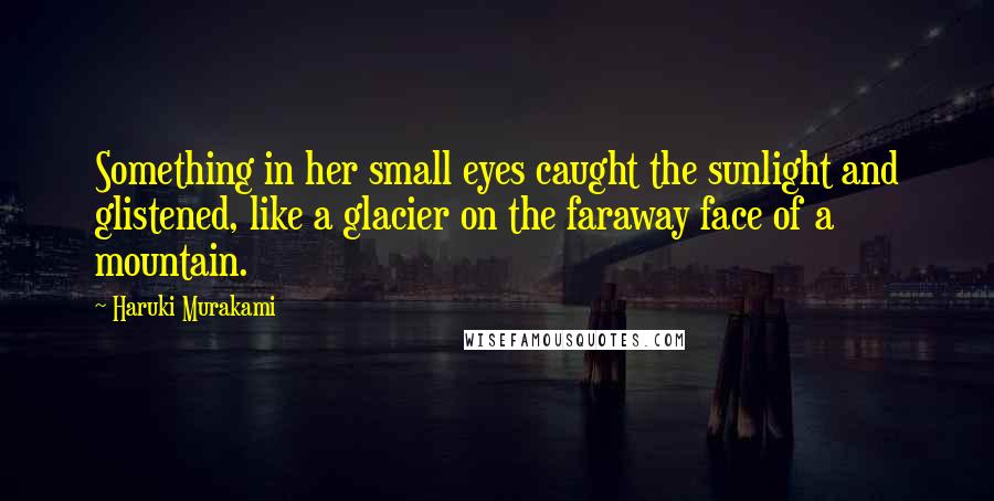 Haruki Murakami Quotes: Something in her small eyes caught the sunlight and glistened, like a glacier on the faraway face of a mountain.