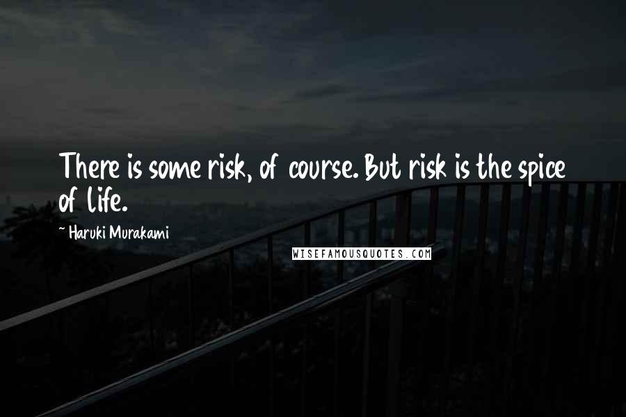 Haruki Murakami Quotes: There is some risk, of course. But risk is the spice of life.