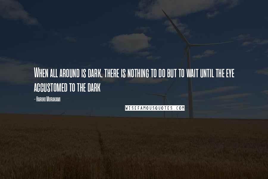Haruki Murakami Quotes: When all around is dark, there is nothing to do but to wait until the eye accustomed to the dark
