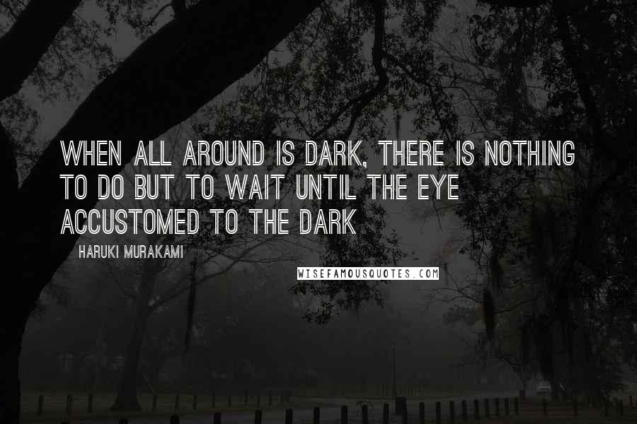 Haruki Murakami Quotes: When all around is dark, there is nothing to do but to wait until the eye accustomed to the dark