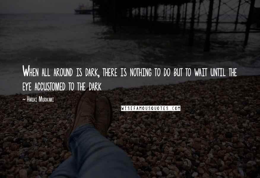 Haruki Murakami Quotes: When all around is dark, there is nothing to do but to wait until the eye accustomed to the dark