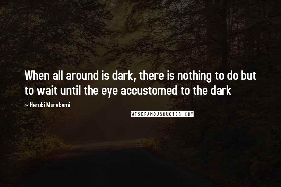 Haruki Murakami Quotes: When all around is dark, there is nothing to do but to wait until the eye accustomed to the dark