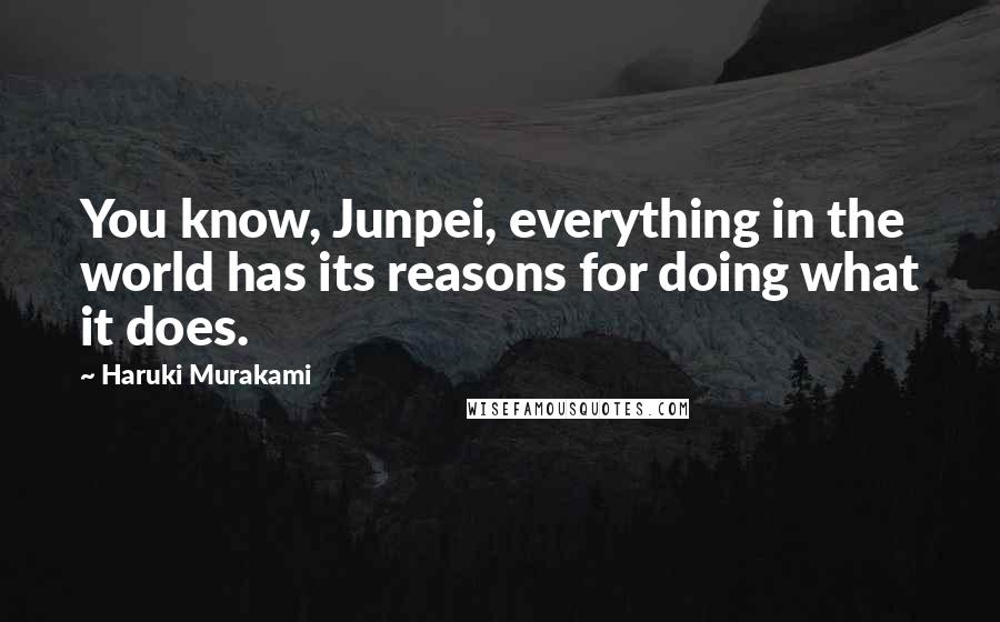 Haruki Murakami Quotes: You know, Junpei, everything in the world has its reasons for doing what it does.