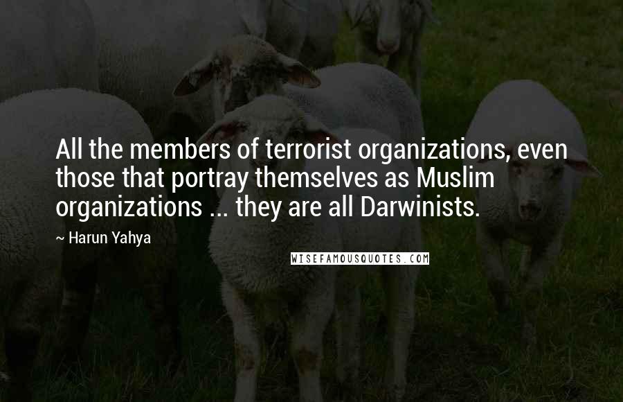 Harun Yahya Quotes: All the members of terrorist organizations, even those that portray themselves as Muslim organizations ... they are all Darwinists.