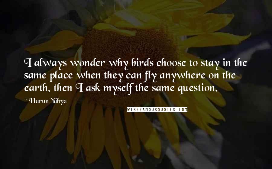 Harun Yahya Quotes: I always wonder why birds choose to stay in the same place when they can fly anywhere on the earth, then I ask myself the same question.