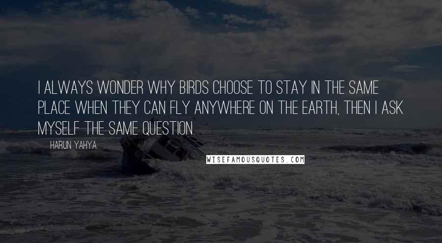Harun Yahya Quotes: I always wonder why birds choose to stay in the same place when they can fly anywhere on the earth, then I ask myself the same question.