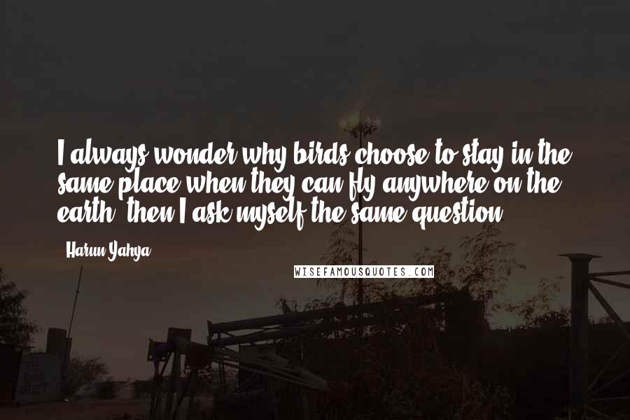 Harun Yahya Quotes: I always wonder why birds choose to stay in the same place when they can fly anywhere on the earth, then I ask myself the same question.