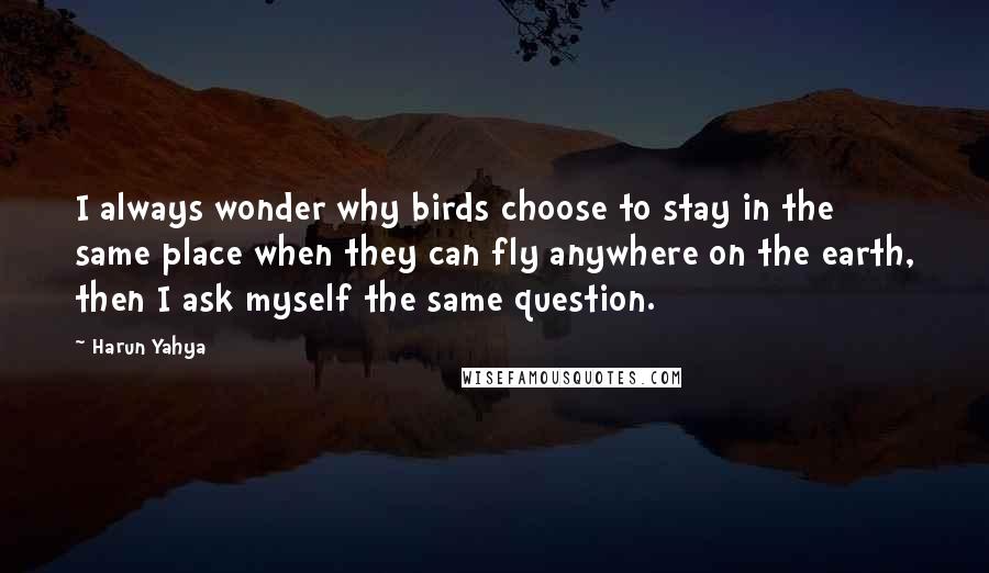 Harun Yahya Quotes: I always wonder why birds choose to stay in the same place when they can fly anywhere on the earth, then I ask myself the same question.