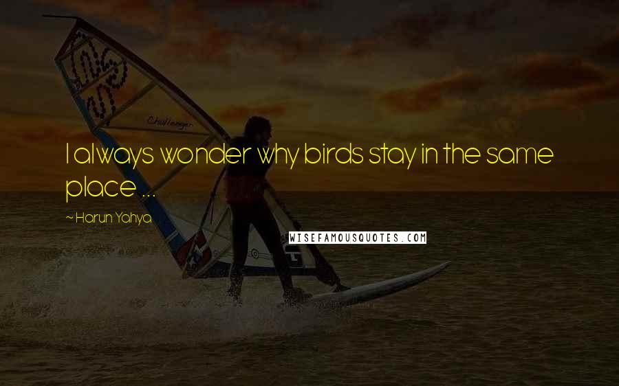 Harun Yahya Quotes: I always wonder why birds stay in the same place ...