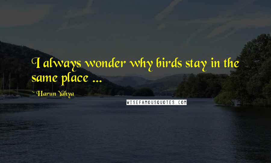 Harun Yahya Quotes: I always wonder why birds stay in the same place ...