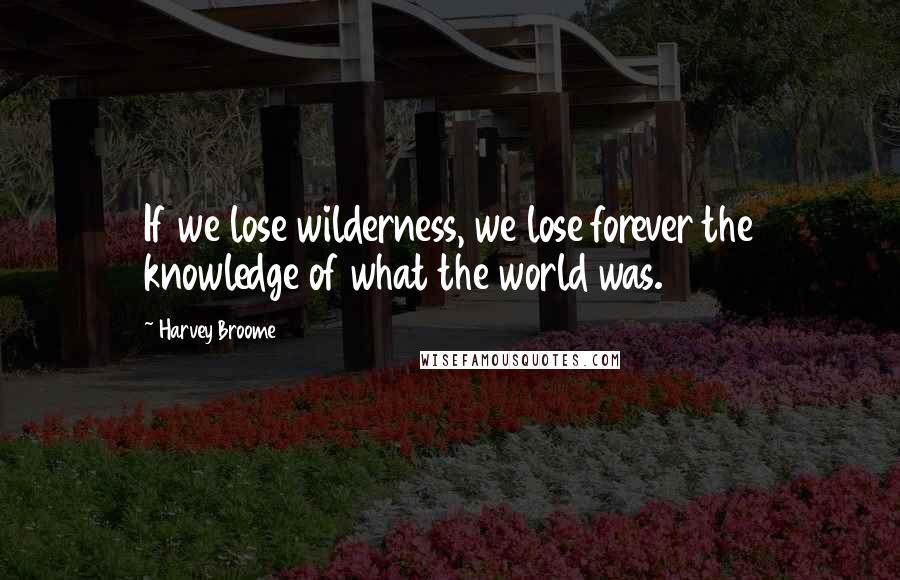 Harvey Broome Quotes: If we lose wilderness, we lose forever the knowledge of what the world was.