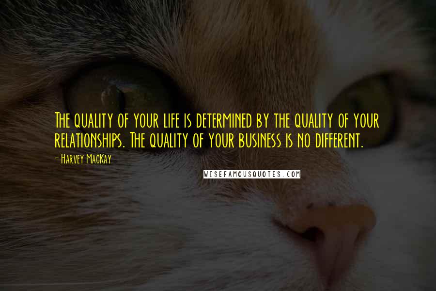 Harvey MacKay Quotes: The quality of your life is determined by the quality of your relationships. The quality of your business is no different.