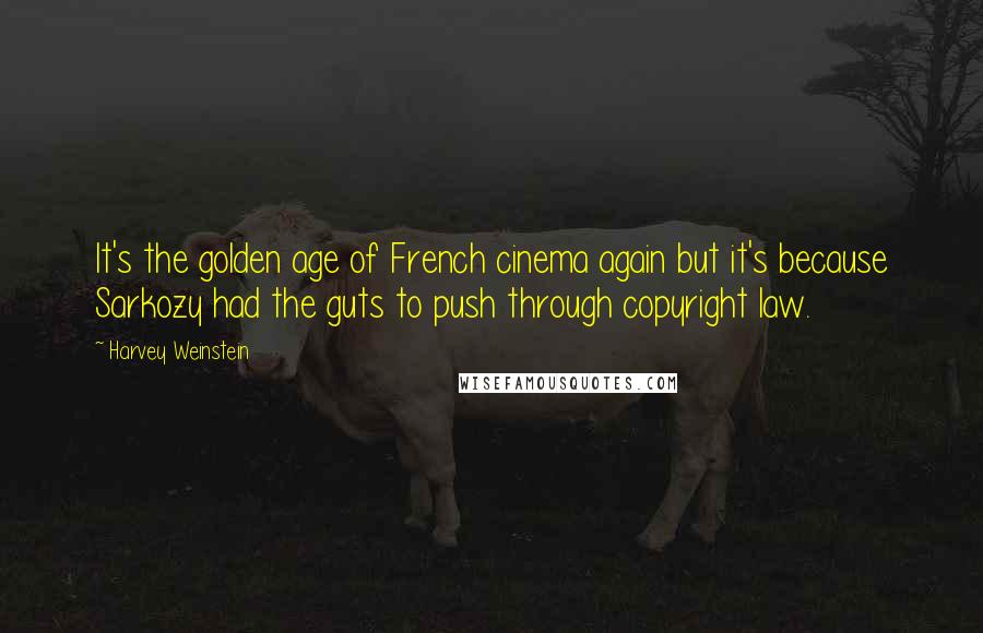 Harvey Weinstein Quotes: It's the golden age of French cinema again but it's because Sarkozy had the guts to push through copyright law.
