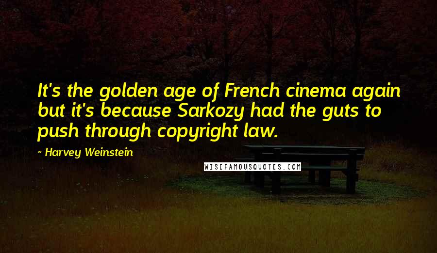 Harvey Weinstein Quotes: It's the golden age of French cinema again but it's because Sarkozy had the guts to push through copyright law.