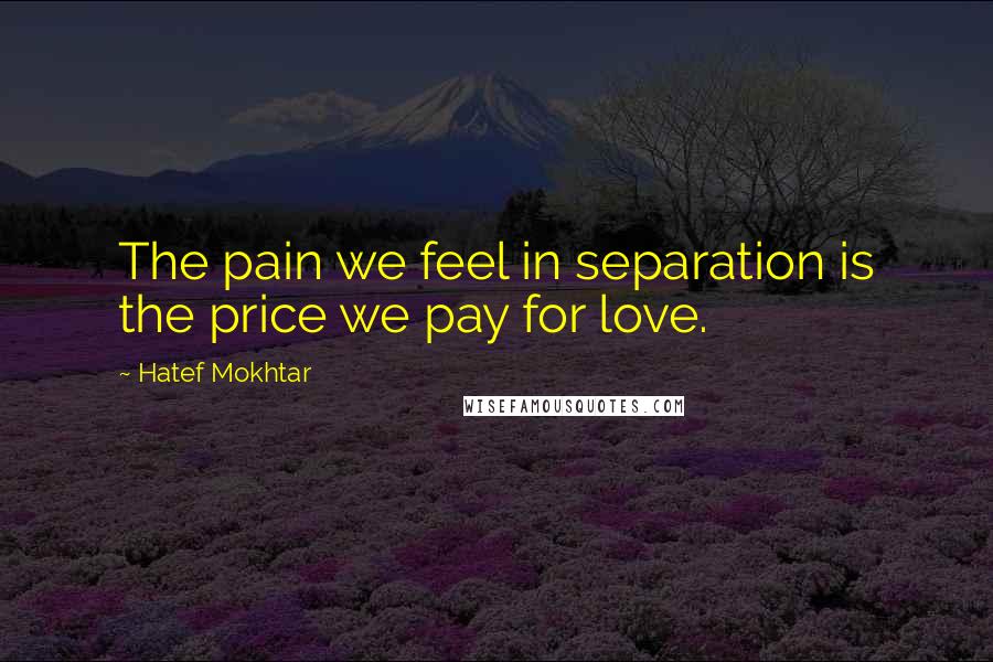 Hatef Mokhtar Quotes: The pain we feel in separation is the price we pay for love.