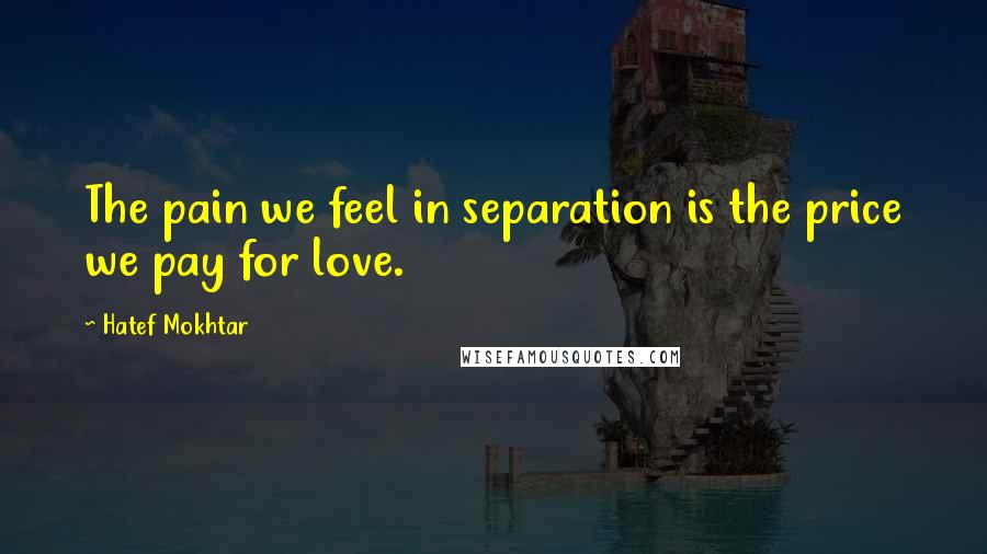 Hatef Mokhtar Quotes: The pain we feel in separation is the price we pay for love.
