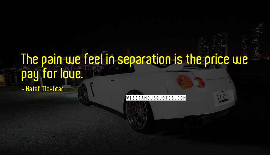 Hatef Mokhtar Quotes: The pain we feel in separation is the price we pay for love.