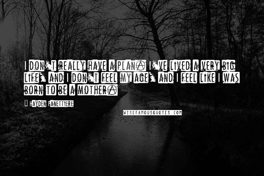 Hayden Panettiere Quotes: I don't really have a plan. I've lived a very big life, and I don't feel my age, and I feel like I was born to be a mother.
